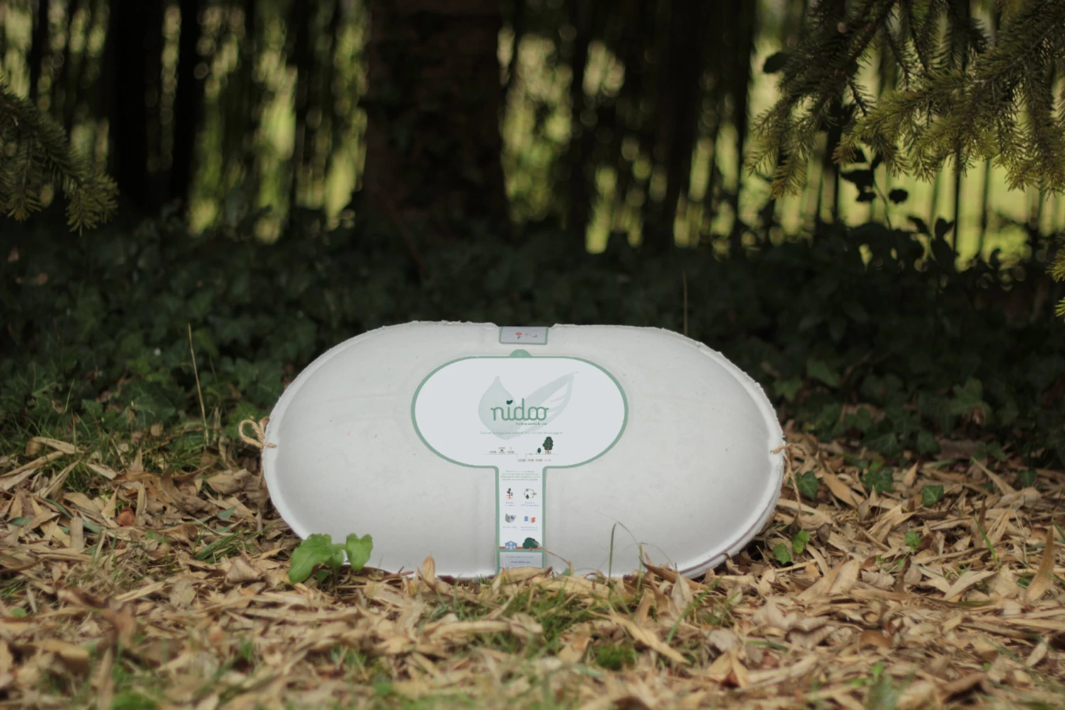 Nidoo, L'arbre Après La Vie 10 Nidoo, L'arbre Après La Vie – Image 8