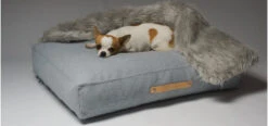 Coussin Pour Chien De Style Nordique 16 Coussin Pour Chien De Style Nordique -Hariet & Rosie oslo 72d9cb05 b068 490c ad7e 5268a31d5877
