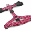 Harnais En H Pour Chien Bubble Leo -Hariet & Rosie pettorina h bubble leo header top transparent