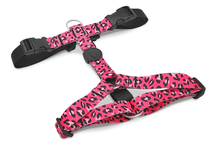 Harnais En H Pour Chien Bubble Leo 3 Harnais En H Pour Chien Bubble Leo