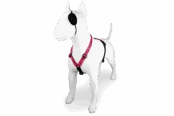 Harnais En H Pour Chien Bubble Leo 7 Harnais En H Pour Chien Bubble Leo -Hariet & Rosie pettorina h bubble leo header top transparent c