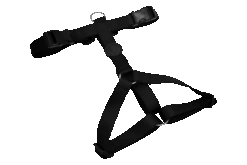 Harnais En H Pour Chien Caviar -Hariet & Rosie pettorina h pureness header top transparent 03