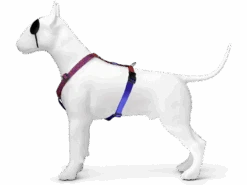 Harnais En H Pour Chien Urban Lizard -Hariet & Rosie pettorina h urban lizard header img02b