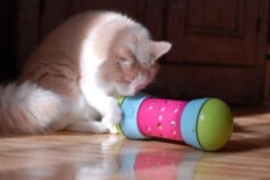 Pipolino M -Hariet & Rosie pipolino chat 2664c1c4 dcc5 4239 9d44 3a71f002fe4d