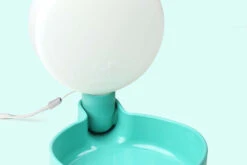 Gourde Pour Chien Avec Bol D’eau -Hariet & Rosie plus pingui aq