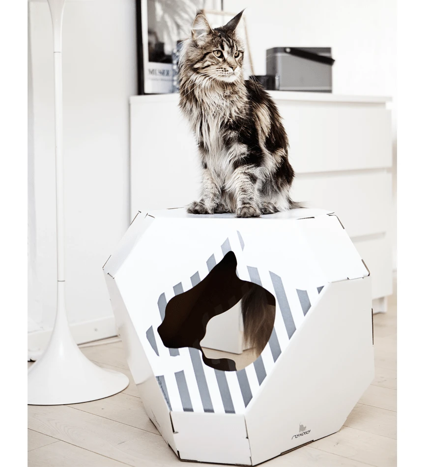 Maison En Carton Pour Chat 4 Maison En Carton Pour Chat – Image 2