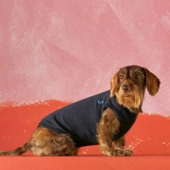 Body Pour Chien Josef -Hariet & Rosie prod 02