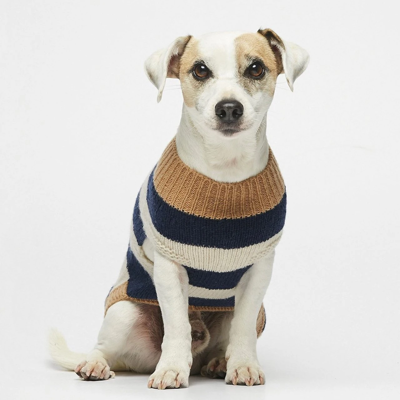 Pull Pour Chien En Laine Anni 4 Pull Pour Chien En Laine Anni – Image 2