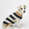 Pull Pour Chien En Laine Anni 1 Pull Pour Chien En Laine Anni -Hariet & Rosie pw fw20 21 2 1280x1280 1
