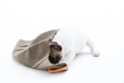 Couverture En Laine Recyclée Ansel Duepuntootto 11 Couverture En Laine Recyclée Ansel Duepuntootto -Hariet & Rosie s768842417857699996 p35 i8 w1200