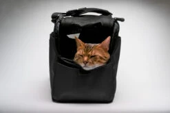 Sac De Transport Pour Chats Et Petits Chien Atom -Hariet & Rosie sac de transport pour chat et petit chien sleepypod atom noir 2