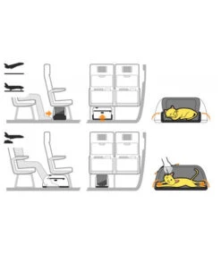 Sac De Transport Pour Chien/chat Spécial Avion -Hariet & Rosie sleepypod air bb2741e3 b99f 4b96 9dd2 1a5829422a9a