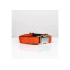 Collier Pour Chien Solid Orange -Hariet & Rosie solid orange 1