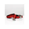 Collier Pour Chien Solid Red -Hariet & Rosie solid red