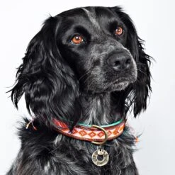 Collier En Cuir Et Perles Sweet Mae Dwam -Hariet & Rosie sweet mae 2 5 cm collar m 6368 en G