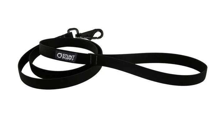 Laisse Biothane Imperméable (5 Couleurs) 6 Laisse Biothane Imperméable (5 Couleurs) – Image 4