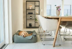 Lit Douillet Pour Chien Velluto -Hariet & Rosie velluto bildergalerie