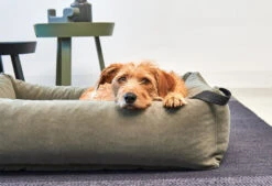 Lit Douillet Pour Chien Velluto -Hariet & Rosie velluto bildergalerie2