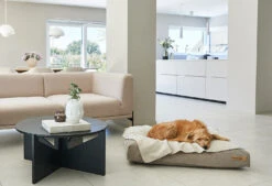 Coussin Relaxant Pour Chien Velluto 12 Coussin Relaxant Pour Chien Velluto -Hariet & Rosie velluto cushion galerie