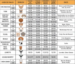 Manteau Pour Petit Chien -Hariet & Rosie woofit size chart fra 1 new 07 11 a0444e07 29c1 46b8 ab73 7fa763956689