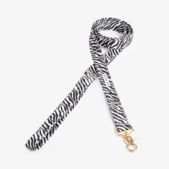 Laisse Scot Zebra